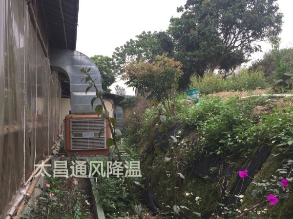 餐廳太熱？環(huán)保空調(diào)為你送清風(fēng)